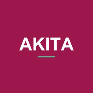Akita Peeking Dog Mug – Dog Lover Coffee Mug – 11oz/15oz Ceramic Mug