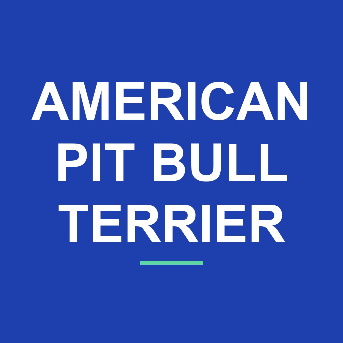 Category: American Pit Bull Terrier American Pit Bull Terrier Peeking Dog Mug – Dog Lover Coffee Mug – 11oz/15oz Ceramic Mug