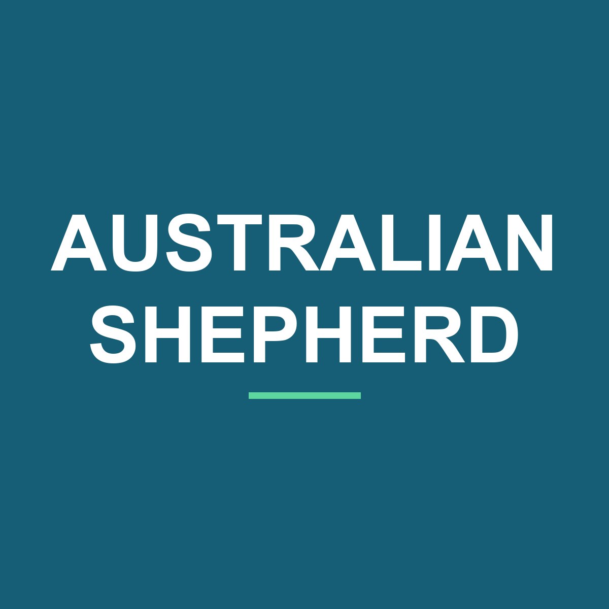 Category: Australian Shepherd Australian Shepherd Peeking Dog Mug – Dog Lover Coffee Mug – 11oz/15oz Ceramic Mug
