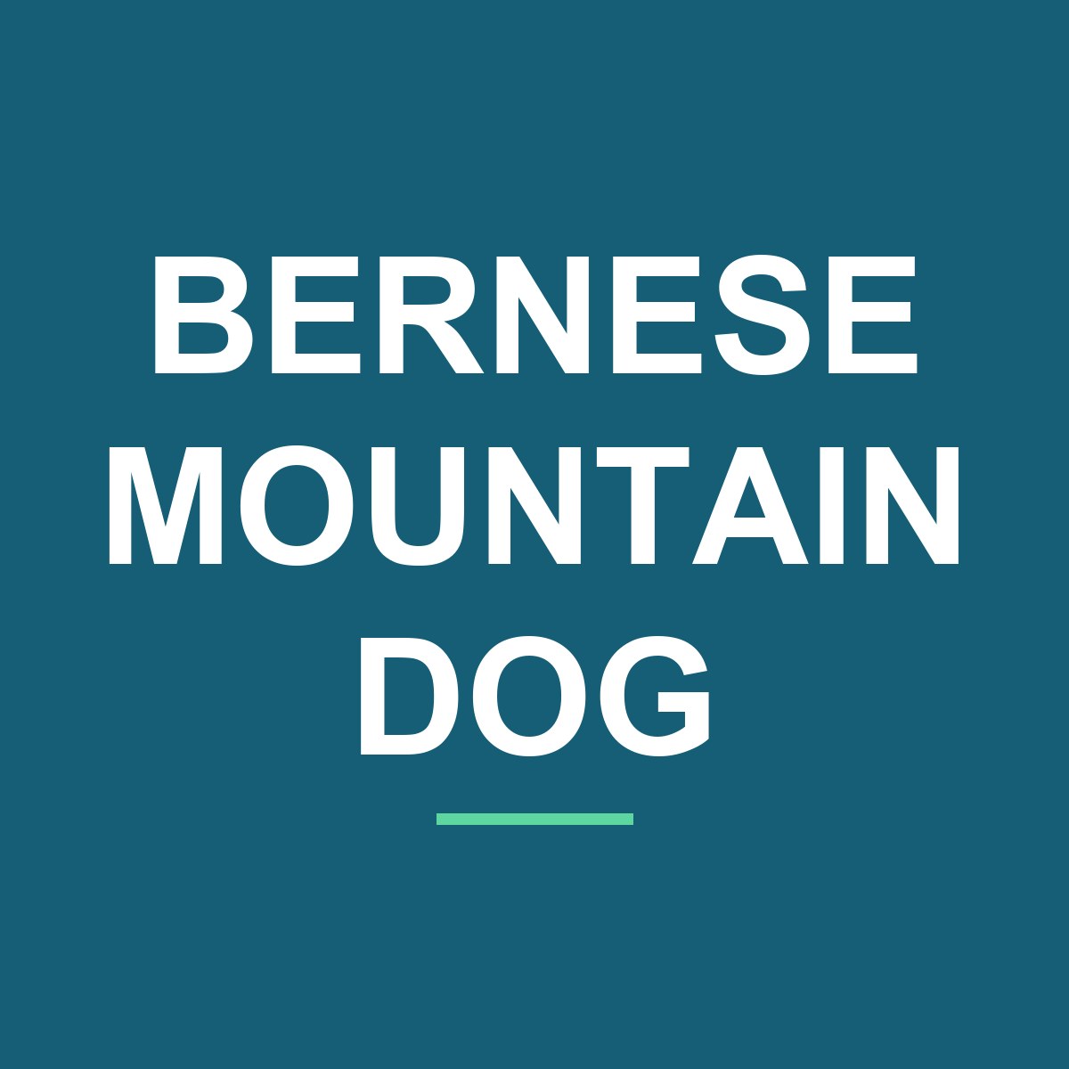 Category: Bernese Mountain Dog Bernese Mountain Dog Peeking Dog Mug – Dog Lover Coffee Mug – 11oz/15oz Ceramic Mug