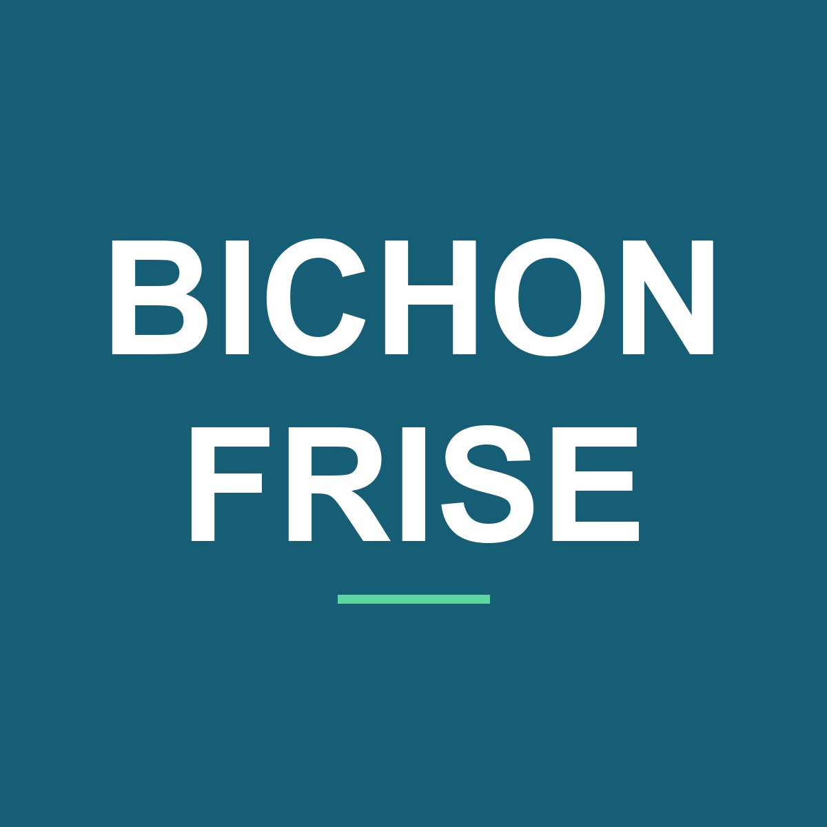Category: Bichon Frise Bichon Frise Peeking Dog Mug – Dog Lover Coffee Mug – 11oz/15oz Ceramic Mug