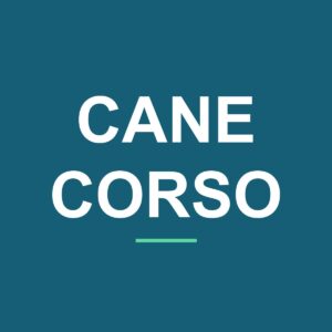 Category: Cane Corso Akita Peeking Dog Mug – Dog Lover Coffee Mug – 11oz/15oz Ceramic Mug