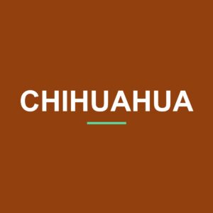 Category: Chihuahua Akita Peeking Dog Mug – Dog Lover Coffee Mug – 11oz/15oz Ceramic Mug