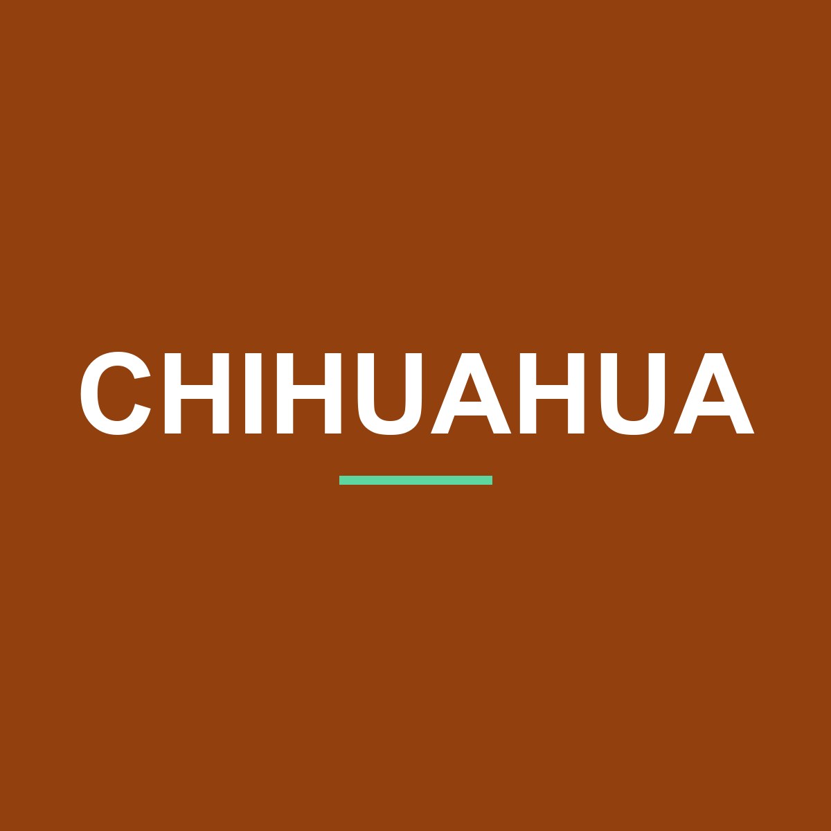 Category: Chihuahua Chihuahua Peeking Dog Mug – Dog Lover Coffee Mug – 11oz/15oz Ceramic Mug