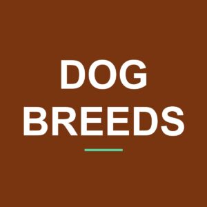 Category: Dog Breeds Akita Peeking Dog Mug – Dog Lover Coffee Mug – 11oz/15oz Ceramic Mug
