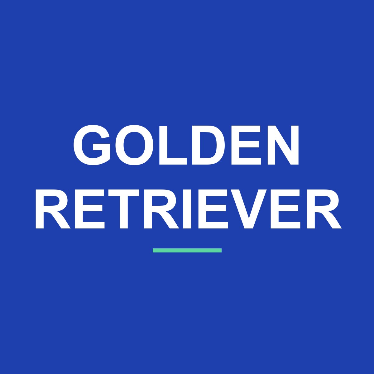 Category: Golden Retriever Golden Retriever Peeking Dog Mug – Dog Lover Coffee Mug – 11oz/15oz Ceramic Mug