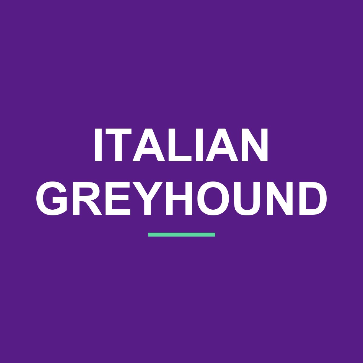 Italian Greyhound Peeking Dog Mug – Dog Lover Coffee Mug – 11oz/15oz Ceramic Mug