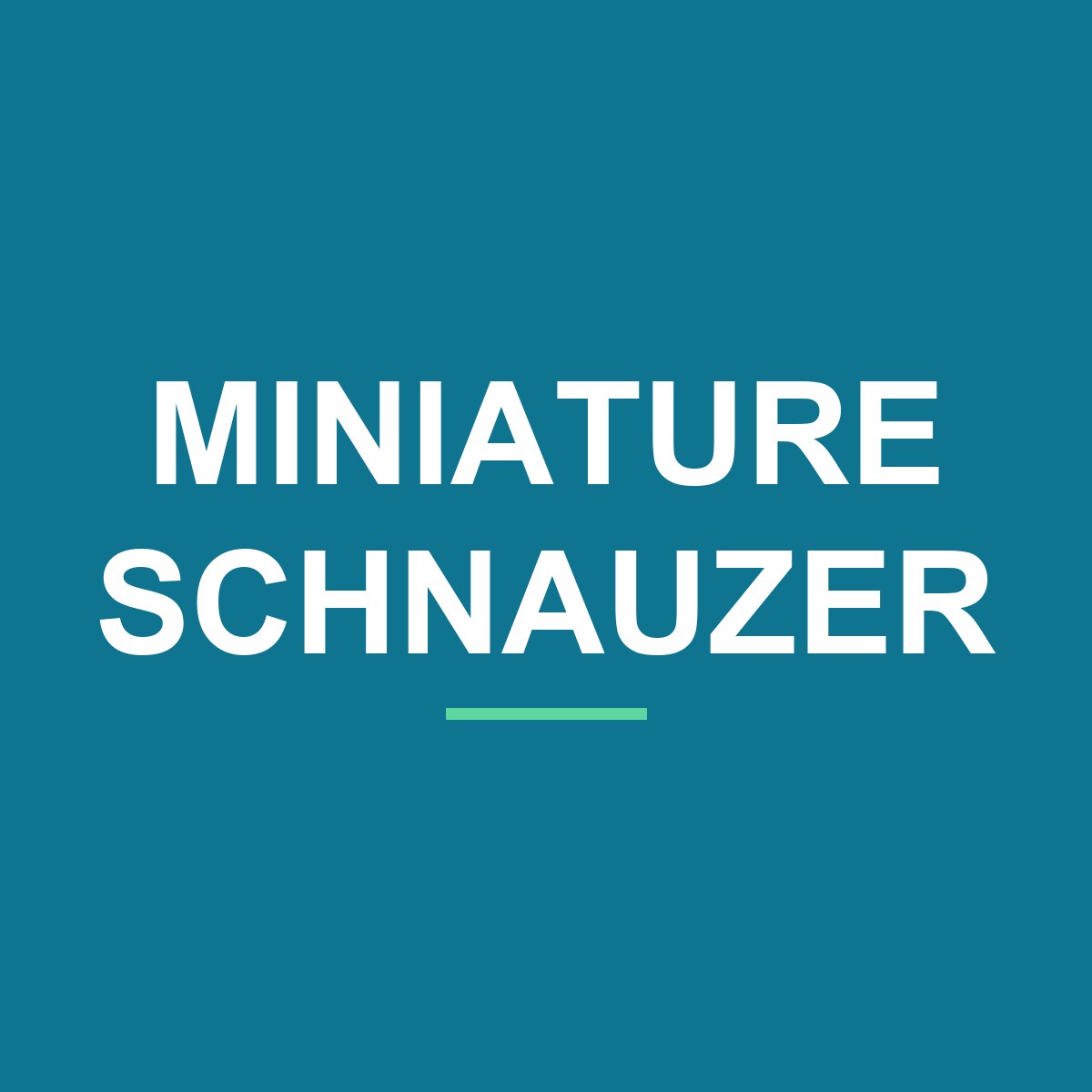 Category: Miniature Schnauzer Miniature Schnauzer Peeking Dog Mug – Dog Lover Coffee Mug – 11oz/15oz Ceramic Mug
