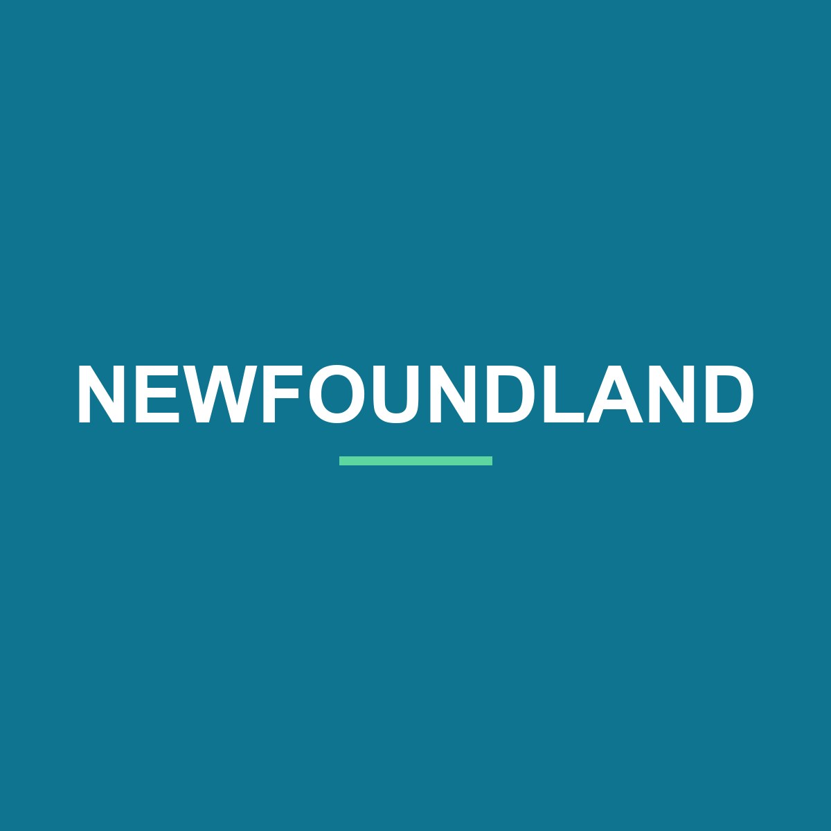 Category: Newfoundland Newfoundland Peeking Dog Mug – Dog Lover Coffee Mug – 11oz/15oz Ceramic Mug