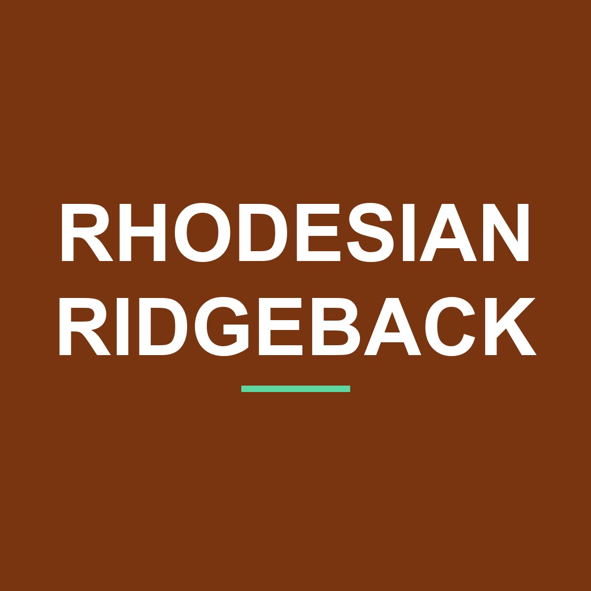 Rhodesian Ridgeback Peeking Dog Mug – Dog Lover Coffee Mug – 11oz/15oz Ceramic Mug