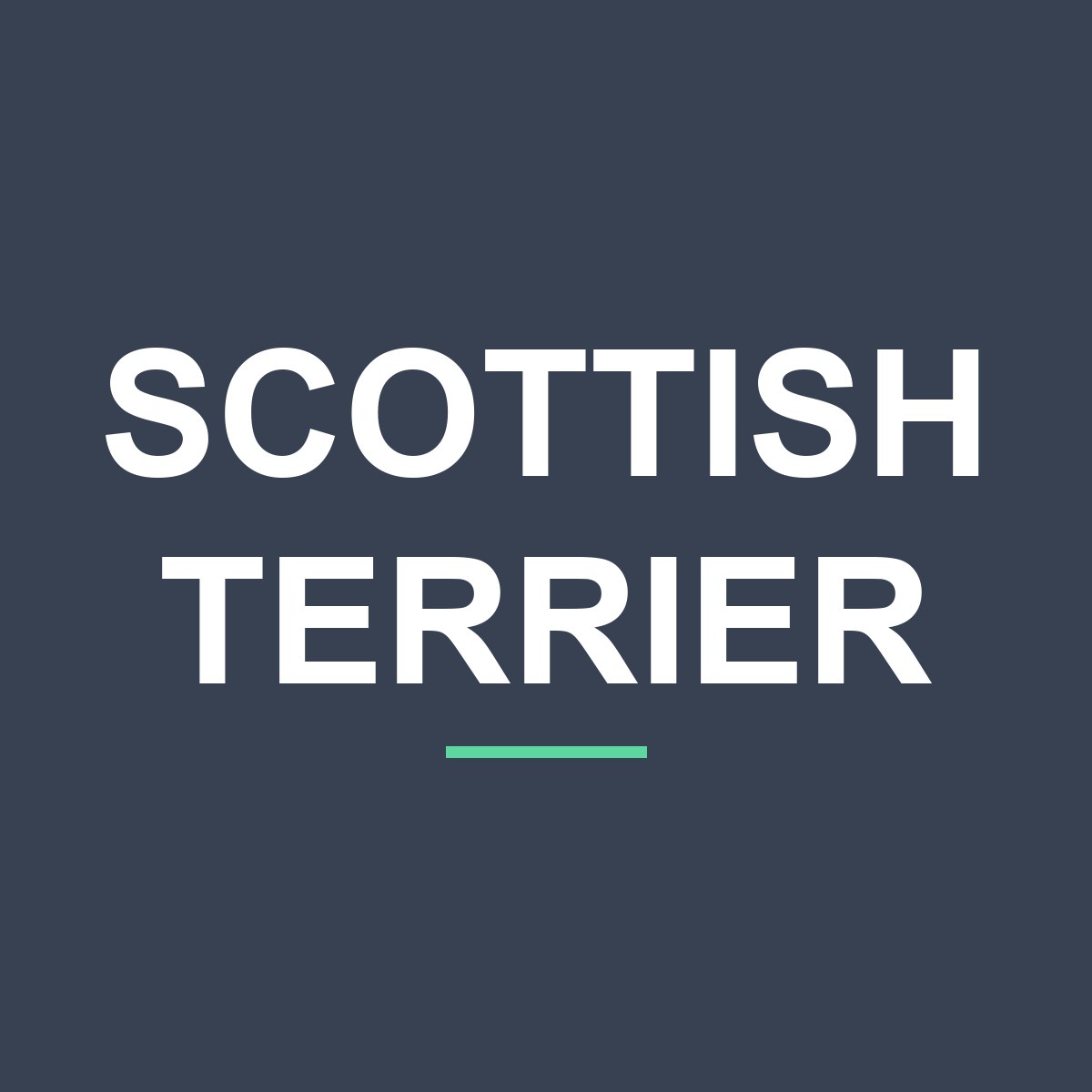 Category: Scottish Terrier Scottish Terrier Peeking Dog Mug – Dog Lover Coffee Mug – 11oz/15oz Ceramic Mug