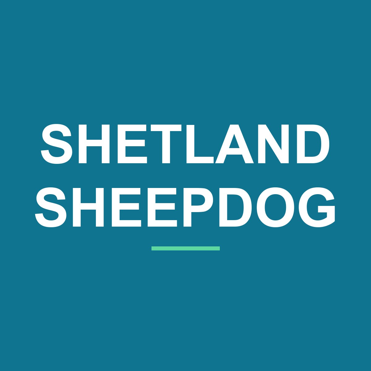 Category: Shetland Sheepdog Shetland Sheepdog Peeking Dog Mug – Dog Lover Coffee Mug – 11oz/15oz Ceramic Mug