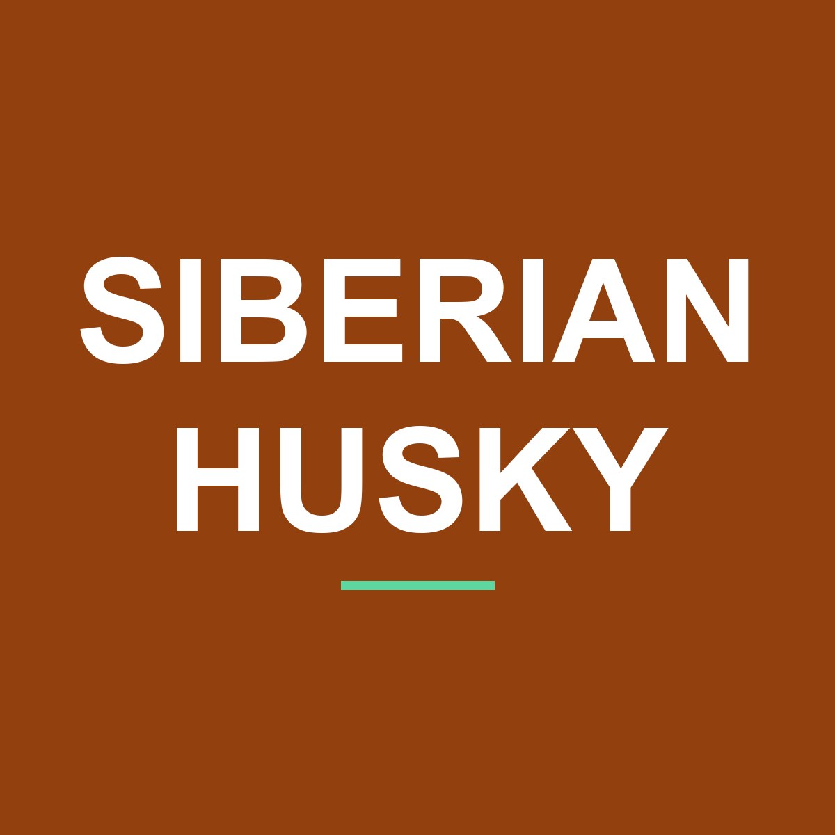 Category: Siberian Husky Siberian Husky Peeking Dog Mug – Dog Lover Coffee Mug – 11oz/15oz Ceramic Mug