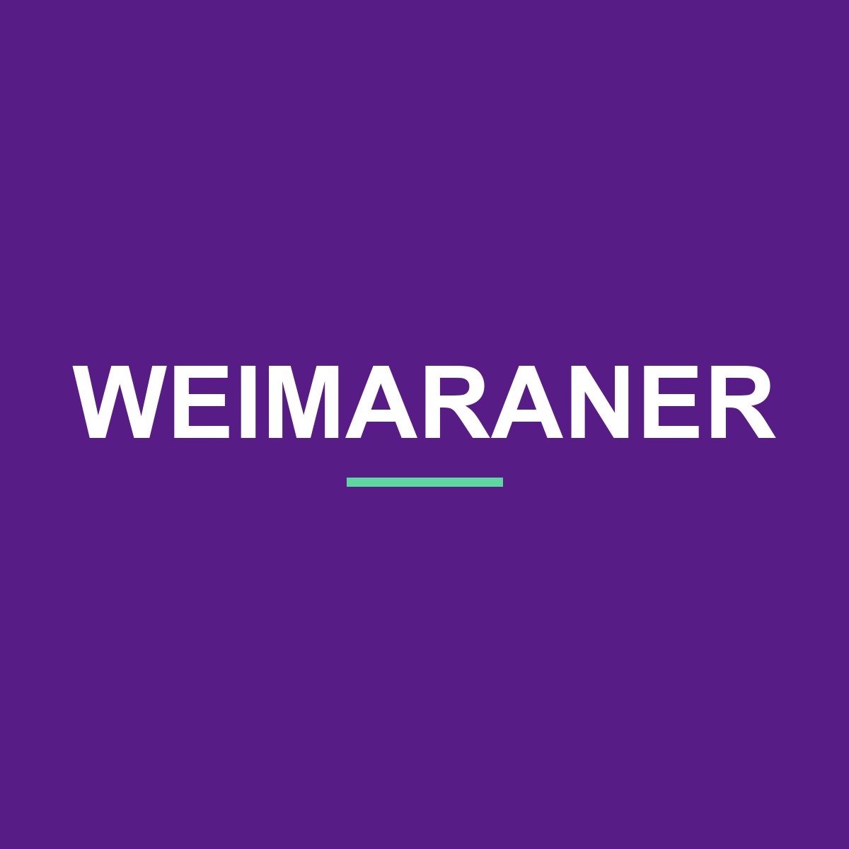 Weimaraner Peeking Dog Mug – Dog Lover Coffee Mug – 11oz/15oz Ceramic Mug