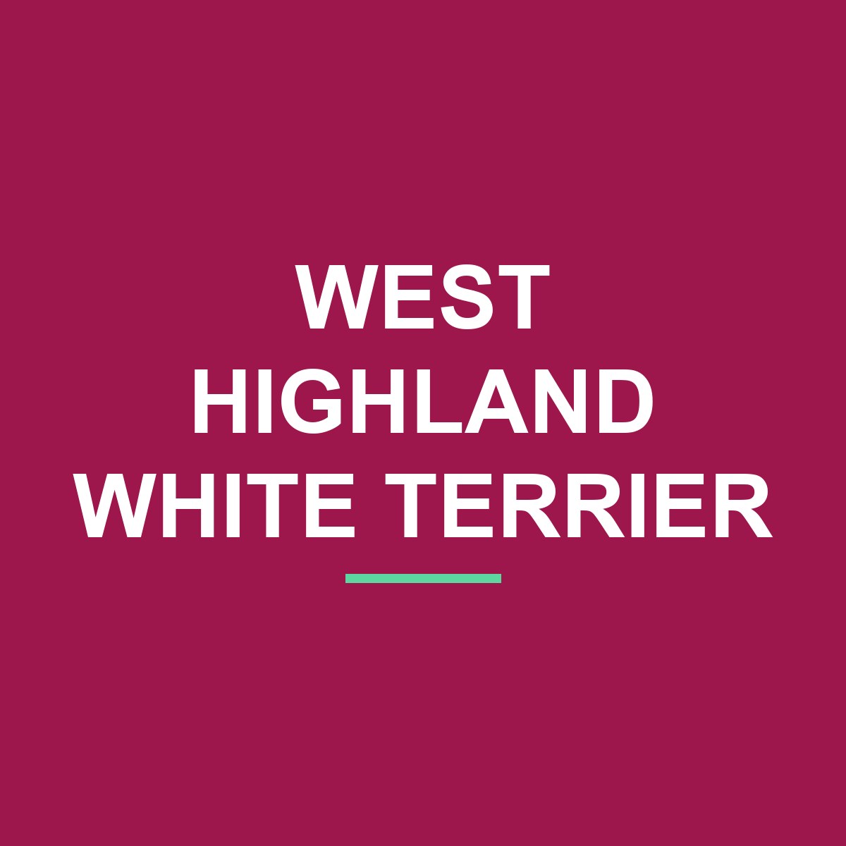 Category: West Highland White Terrier West Highland White Terrier Peeking Dog Mug – Dog Lover Coffee Mug – 11oz/15oz Ceramic Mug