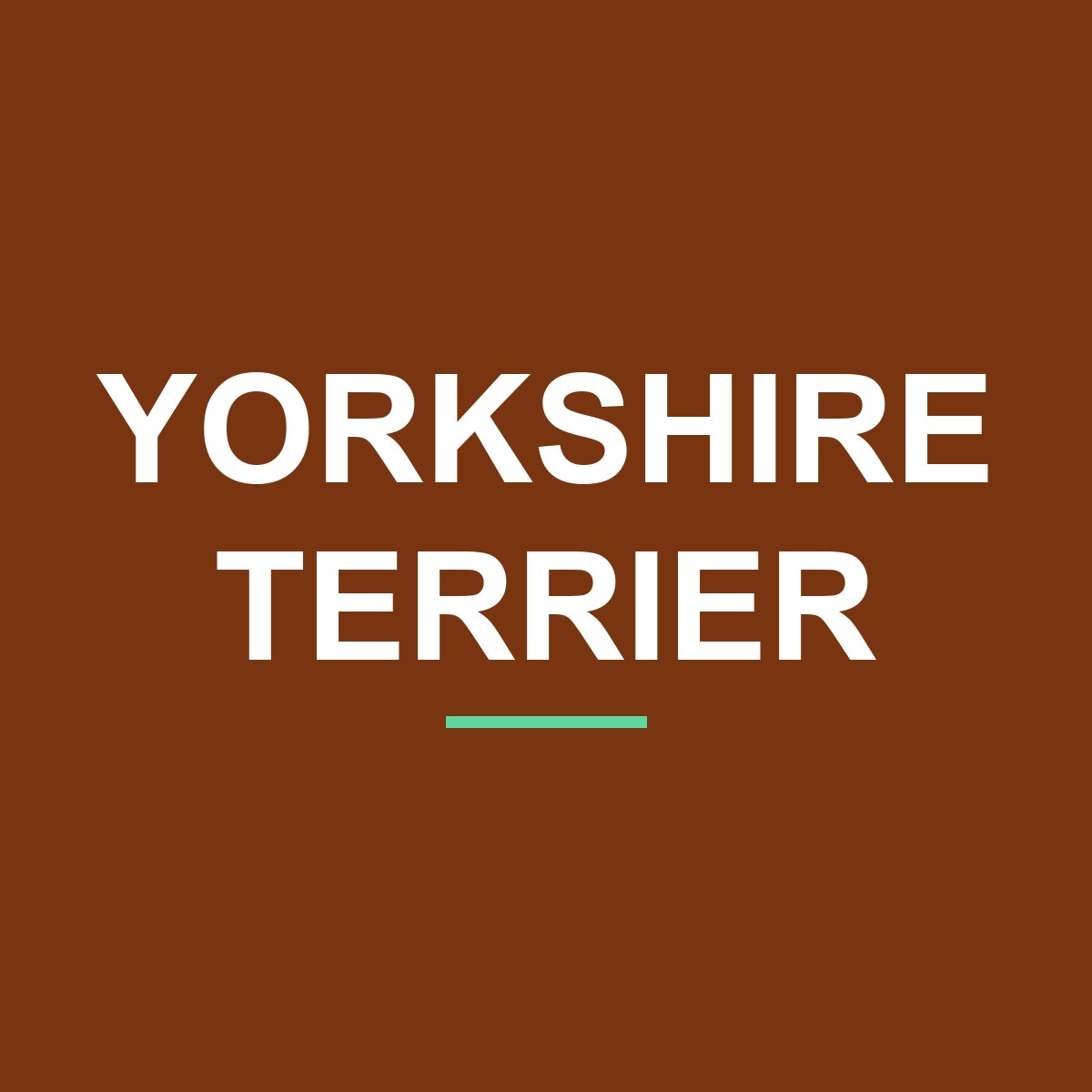 Category: Yorkshire Terrier Yorkshire Terrier Peeking Dog Mug – Dog Lover Coffee Mug – 11oz/15oz Ceramic Mug